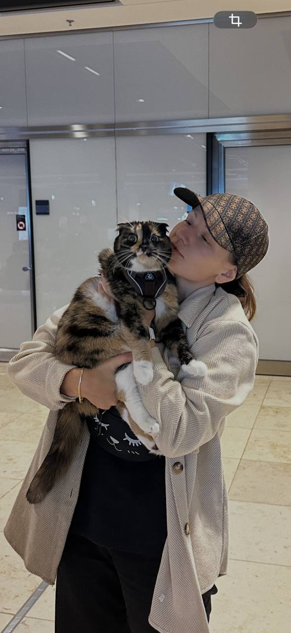 Переезд из Турции в Германию image preview