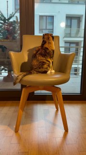 Находки с блошиного рынка Германии image preview